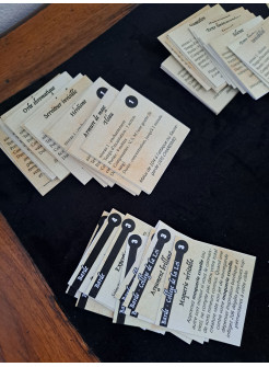 CARTES DE SORTS "BARDE D&D 5eme Ed." Format BEHEMOTH